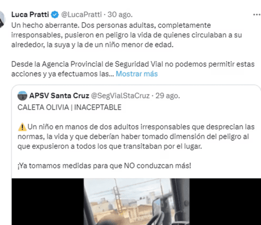 Un adulto hizo manejar a un nene de 7 años un camión en Santa Cruz y le suspendieron la licencia