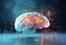 Descubren cuál es la hormona liberada durante la actividad física que protege contra el Alzheimer