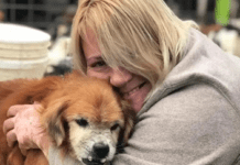 Dejó todo, dedicó su vida a rescatar perros de la calle y va por más: “Sueño con tener un quirófano móvil”