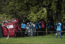 Palermo: encontraron el cadáver de un hombre en un lago ubicado a metros de la zona donde mataron al ingeniero