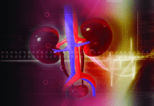 Cómo funcionan las máquinas que podrían revolucionar los trasplantes renales en Argentina