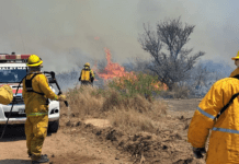 Desesperación por los incendios en Córdoba: hay nuevos focos y un detenido acusado de desatar el fuego