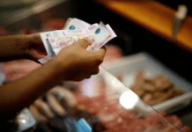 Dólar, reservas, inflación y salarios: cómo llega la economía a las elecciones del 22 de octubre