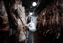 Alerta en el sector frigorífico: se desplomaron las exportaciones de carne durante septiembre