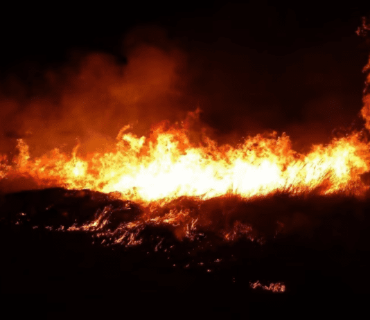 Mendoza: Incendios forestales, caídas de árboles y destrucción de casas debido al viento Zona
