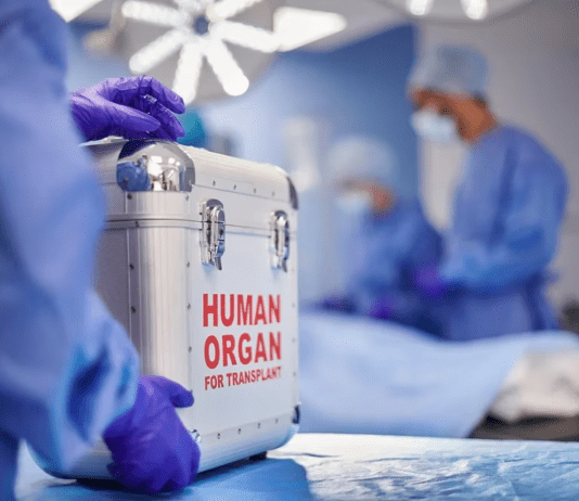 10 claves para entender cómo funciona el sistema de donación de órganos en Argentina