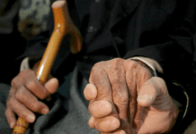 Aumento a jubilados: a cuánto subirá la mínima en diciembre y cuándo se cobra el “bono” que anunció el Gobierno