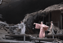 “Madama Butterfly”, una ópera profesional con dosis justas de orientalismo y americanismo