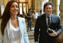 Villarruel se centra en el Senado y Milei define con Bullrich al ministro de Defensa: suena fuerte Luis Petri