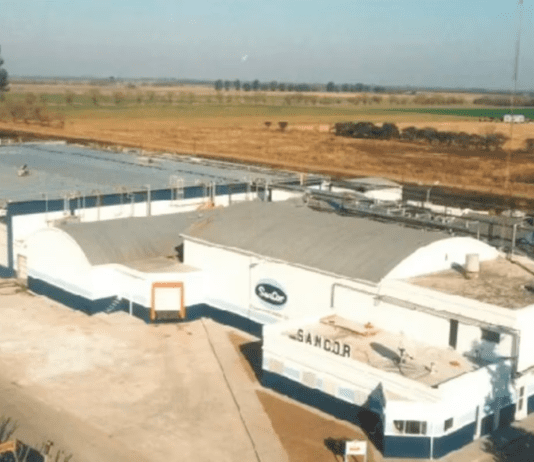 SanCor cerró una fábrica de quesos por un conflicto sindical y reclama “libertad para trabajar”