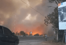 Incendios: ¿cómo se generan y cuáles son las zonas más afectadas?