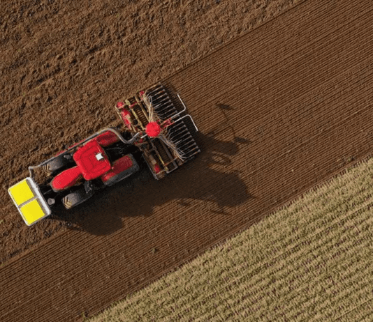 La desregulación y el campo: fin para la Ley de Tierras, cambios en economías regionales y prohibición a las restricciones al comercio exterior