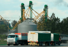 Analistas privados estiman que el gobierno tendrá un superávit comercial de US$15.000 millones en 2024