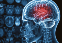 Los 12 datos sorprendentes del cerebro que aprendimos en 2023