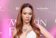 De la Joaqui a Milett: brillos y naked dresses en la red carpet de los Martín Fierro de la moda