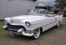 Se enteró de que Javier Milei no podrá usar el “Cadillac de Perón” y le ofrece uno igual: “Sería un sueño”