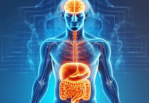 Quién es el experto argentino que impulsa una nueva medicina: “Sanando la microbiota intestinal se pueden curar más de 90 enfermedades”