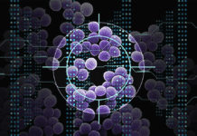 Infecciones intrahospitalarias: un estudio detectó 35 nuevas especies de bacterias