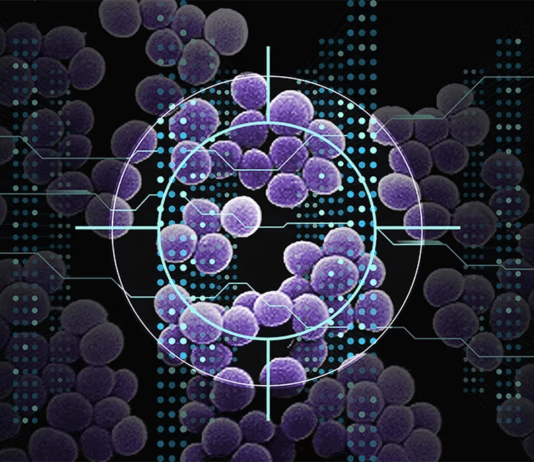 Infecciones intrahospitalarias: un estudio detectó 35 nuevas especies de bacterias