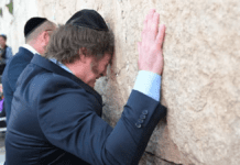 Javier Milei lloró en el Muro de los Lamentos y luego se reunió con el presidente Herzog para ratificar su condena a Hamas