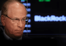 Guiño a Milei: BlackRock compró el bono que el Banco Central emitió para los importadores