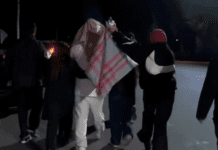 Deportados desde EE. UU.: Argentinos regresan a su patria