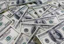 Dólar Cripto Hoy: Cotización, Evolución y Perspectivas del Mercado