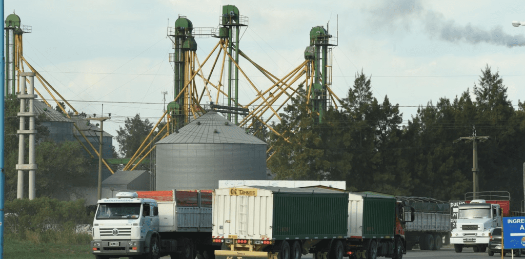 Eliminación de Tarifas de Granos: Desregulación al Transporte