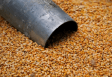 Récord de Exportación de Maíz en EE.UU. y Proyecciones para 2025/26