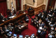 Senado en Tensión: Veto Presidencial sobre Fondos Provinciales en Debate