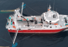 Tensión Internacional: Chubut y Red Chamber en Conflicto Pesquero