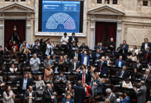 Veto al financiamiento universitario: Diputados rechazan a Milei