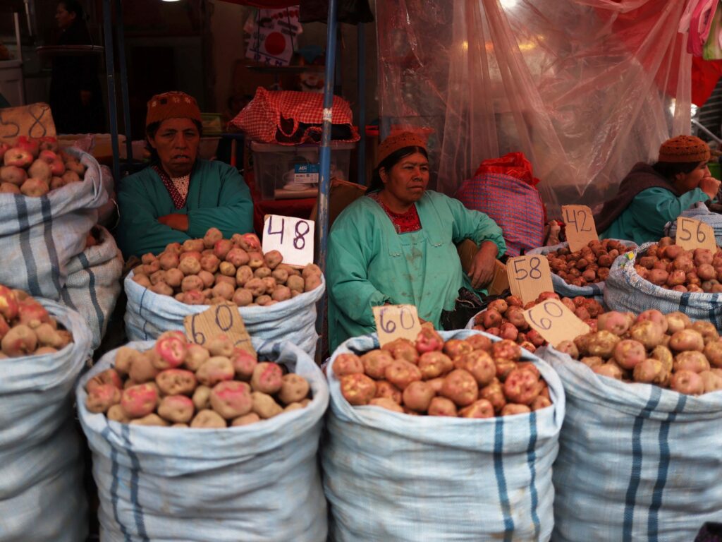 Elecciones en Bolivia: Fin de 20 años del MAS y nuevo rumbo económico