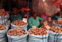 Elecciones en Bolivia: Fin de 20 años del MAS y nuevo rumbo económico