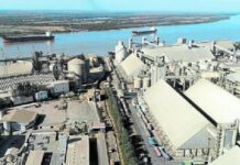 Grassi a un Paso de Adquirir Vicentin tras Aval de Acreedores