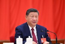 China y Argentina 2030: Estrategia, Comercio y Oportunidades Clave