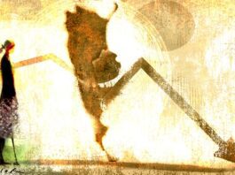 Desafíos y Soluciones en Denuncias de Violencia de Género en Argentina