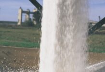 Aumento de Importación de Fertilizantes por Demanda de Trigo y Maíz