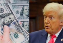 Cómo Reclamar el Bono de 1,000 USD del Programa «Trump Accounts»