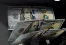 Cotización Dólar y Blue Hoy: Fluctuaciones y Análisis en Vivo
