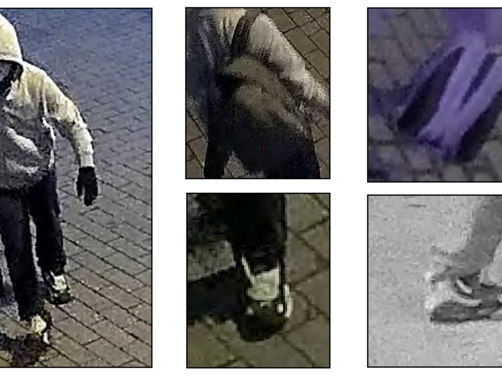 FBI Detiene al Sospechoso de Bombas en Washington Pre-Asalto Capitolio