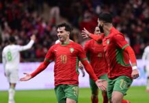 Apodos de Equipos en la Copa Africana 2025: Significado y Cultura