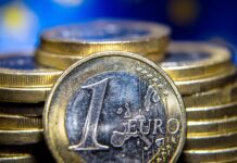 Cotización del Euro: Precio Oficial y Blue Domingo 11 de Enero