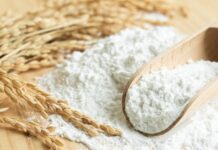 Crisis en Trigo Argentino: Molineras Alertan Deficiencias de Calidad