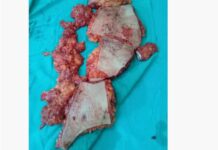 «Denuncia Penal en la AFA: Tesorero Pablo Toviggino bajo fuego»