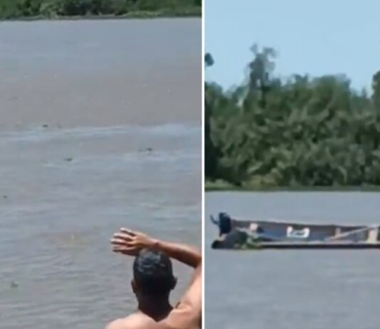 Lancha Deriva Río Coronda: Cuerpos Fusilados en Santa Fe, Inseguridad Creciente