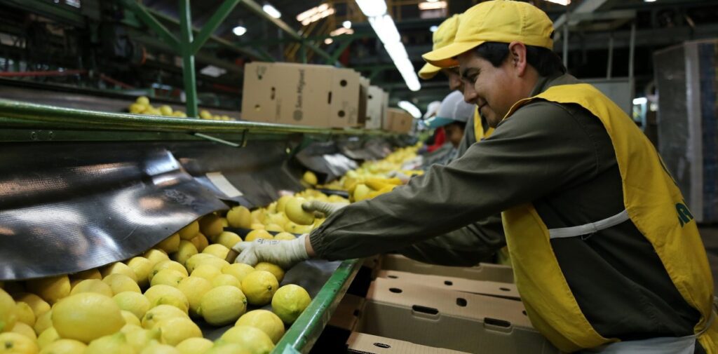 San Miguel reestructura su deuda hasta 2029 y lidera en cítricos