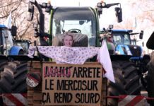 Tensión Comercial: Supermercados Franceses Bloquean Carnes del Mercosur