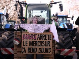 Tensión Comercial: Supermercados Franceses Bloquean Carnes del Mercosur