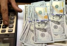 Cotización Dólar CCL al 24 Feb: Tendencias y Pronósticos Clave